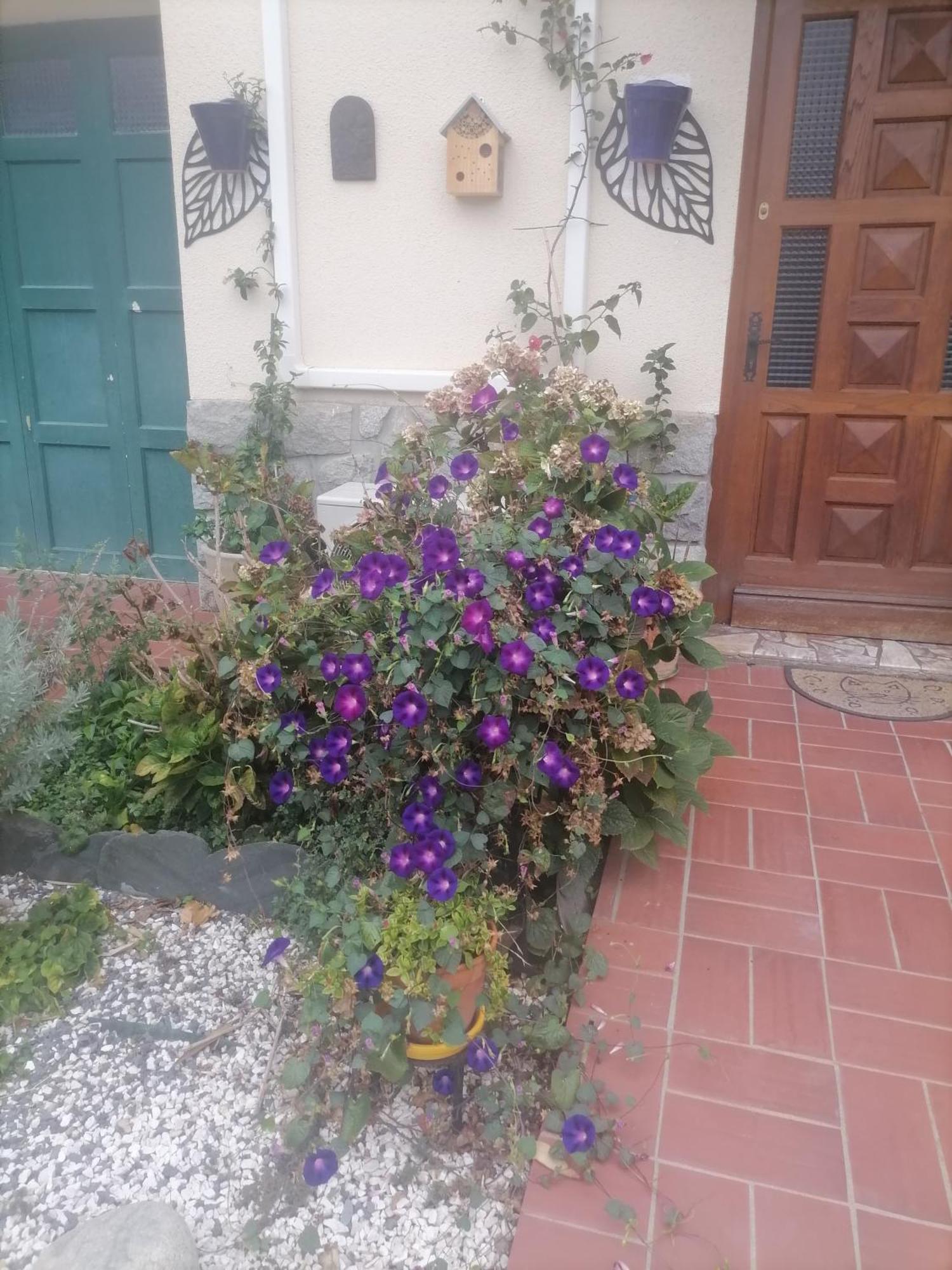 Maison Du Soleil Prades (Pyrenees-Orientales) Exterior foto